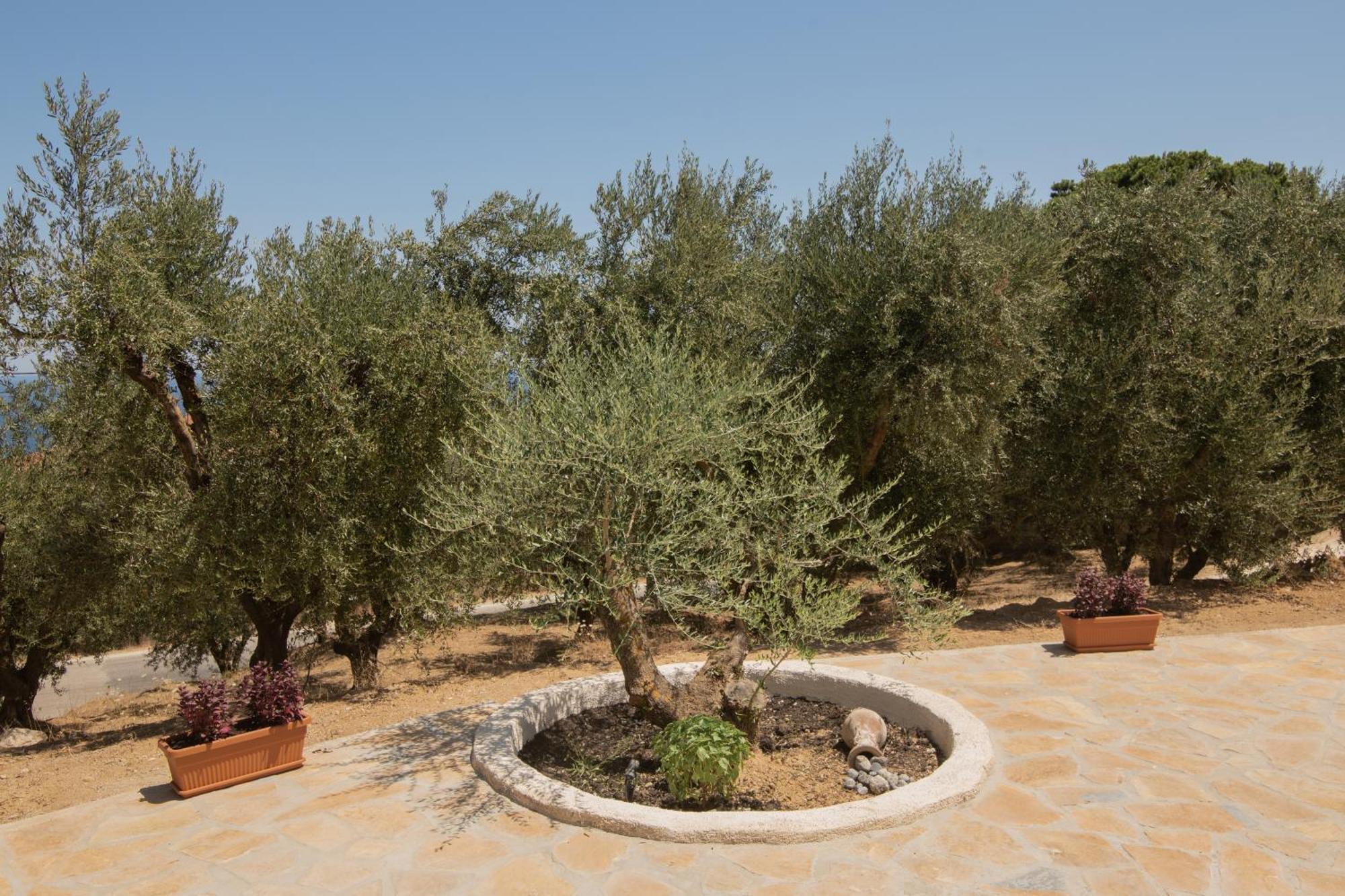 Xirokástellon Cossoro Villas Zakynthos חדר תמונה